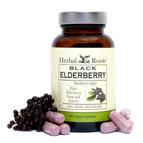 How Black Elderberry gives your Health a BOOST!