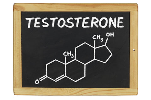 Herbs to Boost your Testosterone