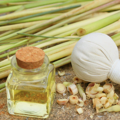 Benefits of Lemongrass Essential Oil