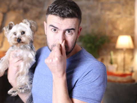 DIY Doggie Natural Perfume