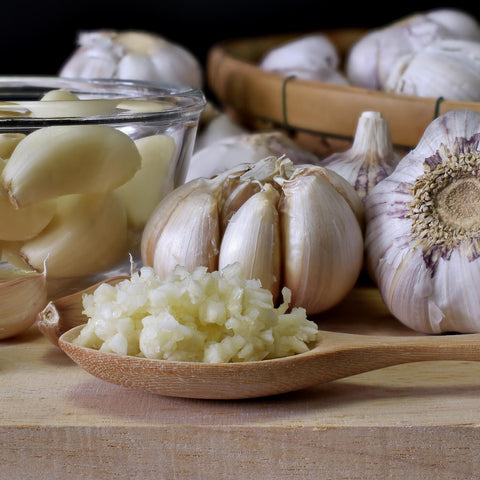 Heal your Body with Garlic