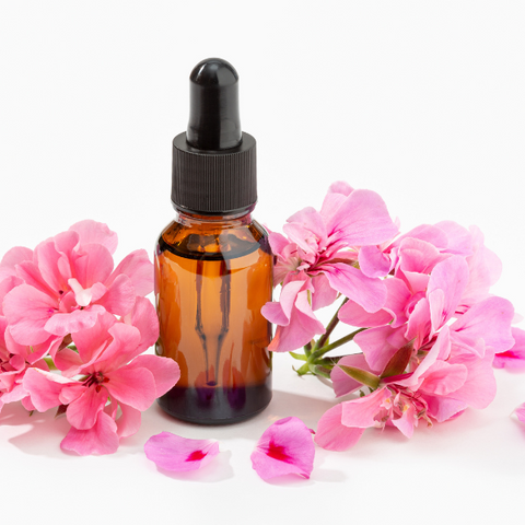 Geranium Essential Oil is Essential for Skin Care!
