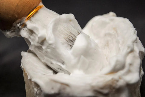 DIY Natural Shaving Cream