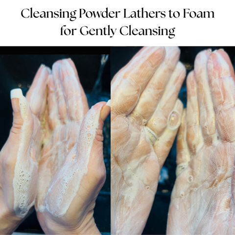 Pineapple Enzyme Cleansing Powder