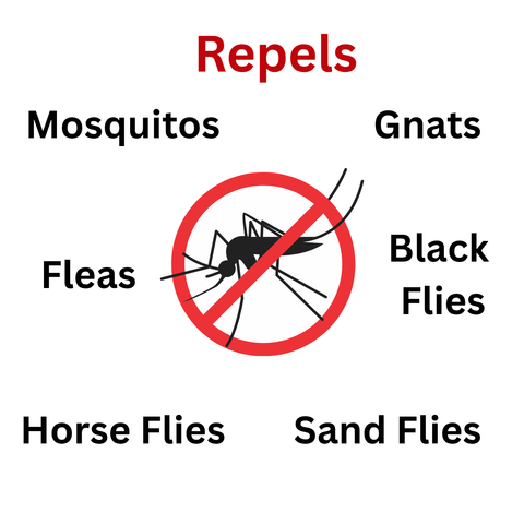 Bug Spray- Organic, Toxin-free, Deet-Free