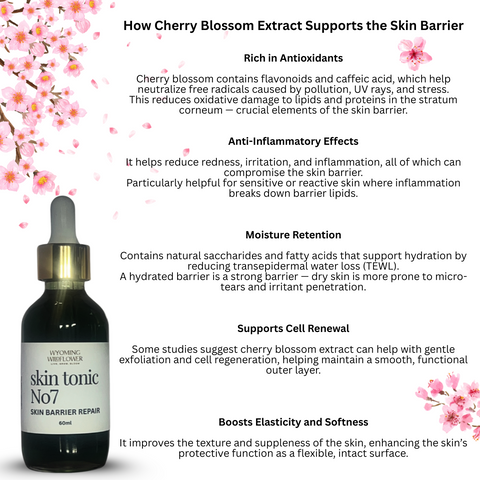 skin tonic No7: Skin Barrier Repair