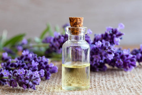 We Love Lavender!