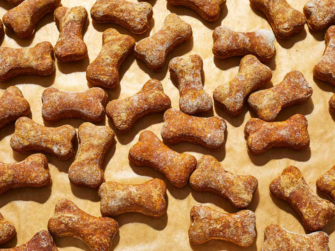 DIY Healthy Doggie Treats- Soooo Easy and your Pup will LOVE them!