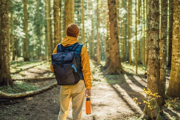 How to Pull Yourself out of an Emotional Slump- The Path Forward ...