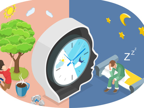 What factors can reduce melatonin production?