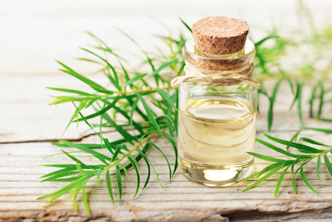Let's talk Tea Tree Oil