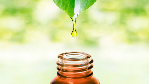 100% Organic Essential Oils