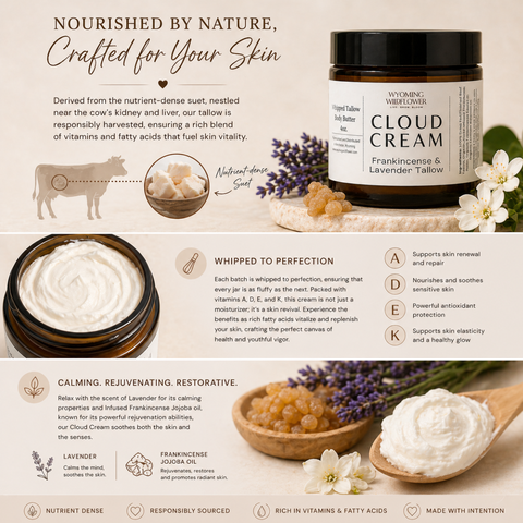 Cloud Cream Whipped Tallow- Lavender & Frankincense Moisturizer