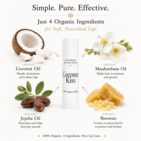 Coconut Kiss Organic Lip Balm