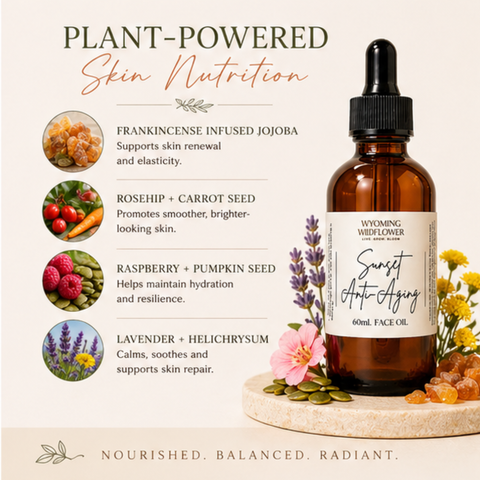 Sunset Anti-Aging Face Oil- Night Renewal Oil Blend