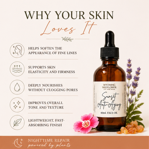 Sunset Anti-Aging Face Oil- Night Renewal Oil Blend