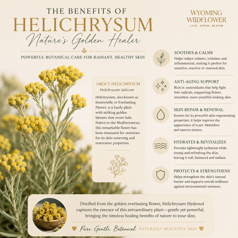 Helichrysum Hydrosol Toner- Reduce Redness & Barrier Health