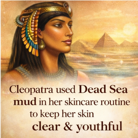 Dead Sea Mineral Rich Mud Mask- Detox & Mineral Mask