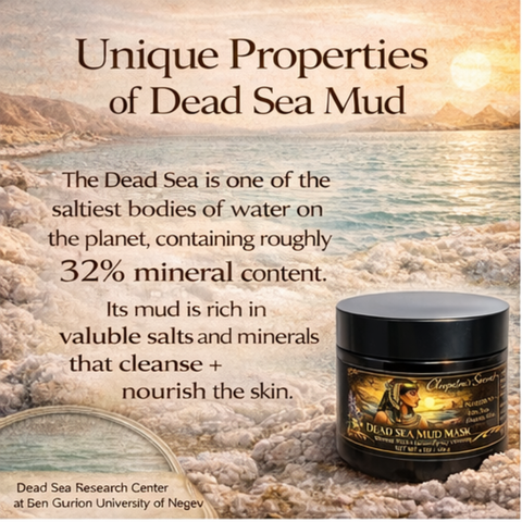 Dead Sea Mineral Rich Mud Mask- Detox & Mineral Mask