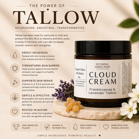 Cloud Cream Whipped Tallow- Lavender & Frankincense Moisturizer