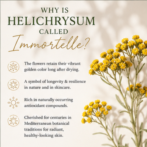 Helichrysum Hydrosol Toner- Reduce Redness & Barrier Health