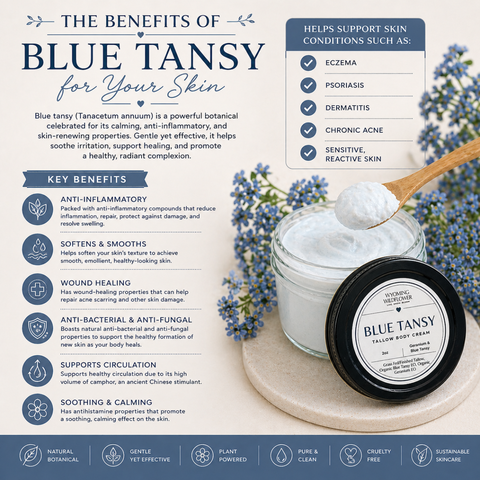 Blue Tansy Tallow Cream- Soothing Eczema & Psoriasis Relief