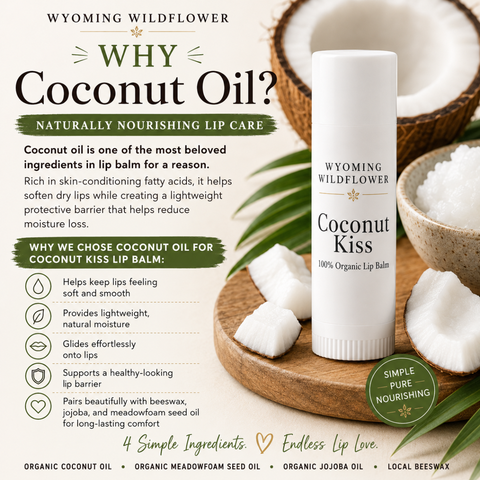 Coconut Kiss Organic Lip Balm