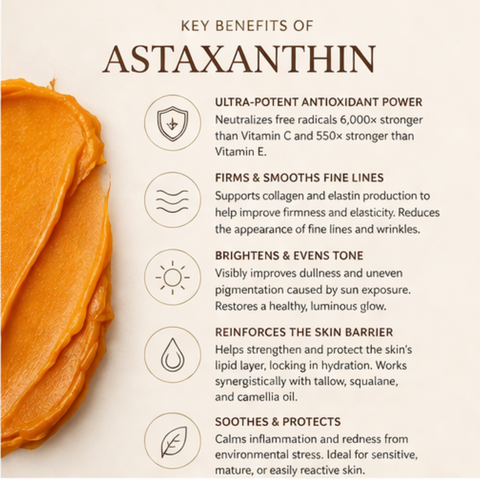 Antioxidant Astaxanthin Balm for Skin Protection & Radiance