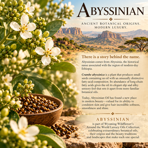 Abyssinian - Ethiopian Silk Oil for Skin and Hair
