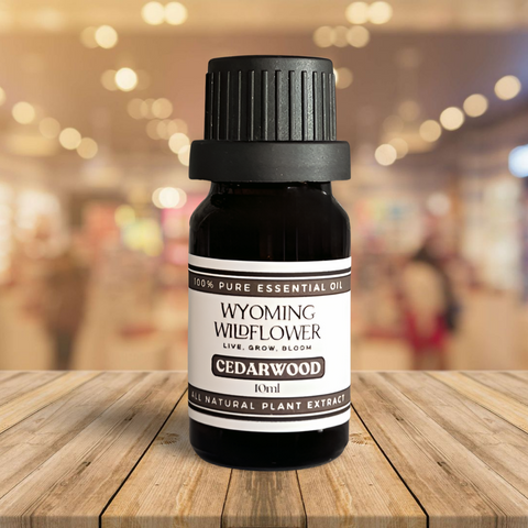 Cedarwood- Stress, Anxiety, Sleep & Respiratory Health