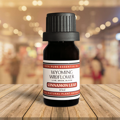 Cinnamon Leaf- Immune Support, Skin & Mental Clarity