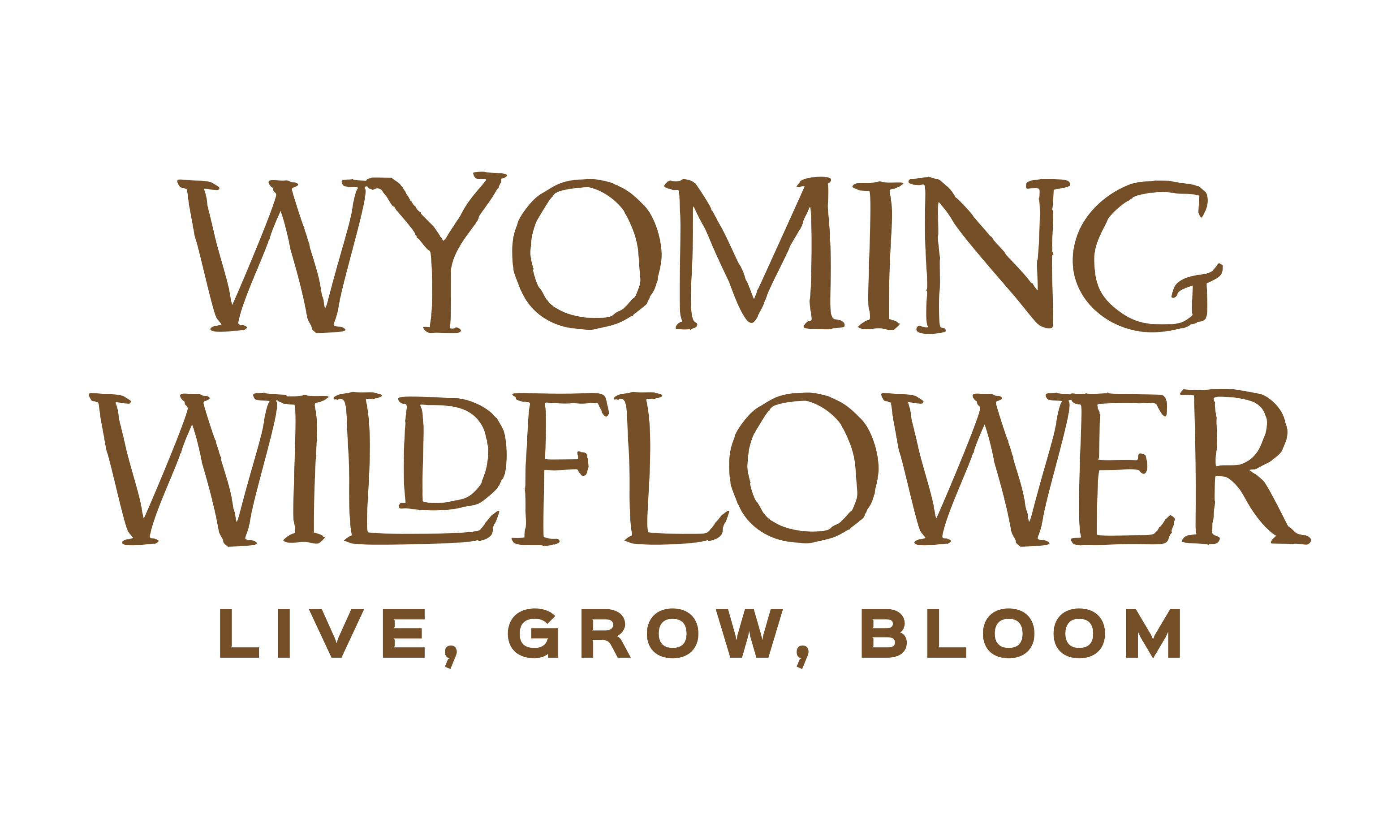 Wyoming Wildflower
