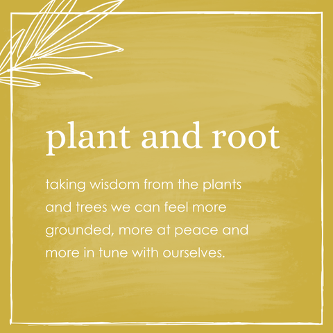 Vitamin C + Licorice Root + Astaxanthin
